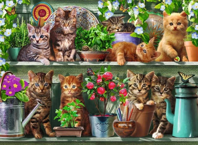 Puzzle Cats on Shelves 500 Pieces