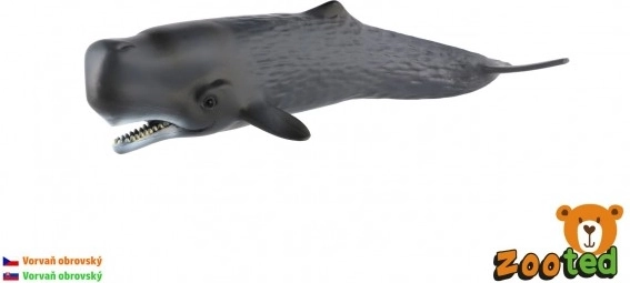 Realistic Sperm Whale Model 24 cm