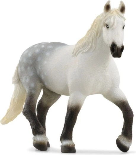 Percheroni tõugu mära figuur