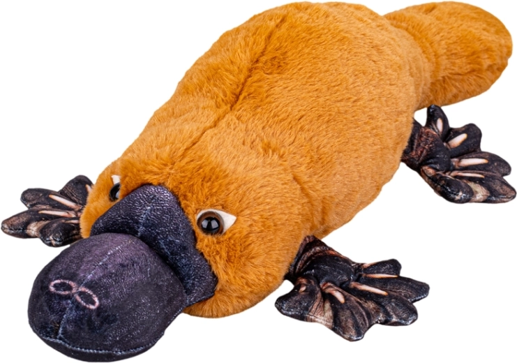 Pehme mänguplatypus 50 cm – pehme lamav kaisukas