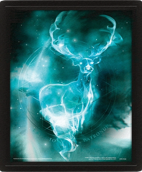 3D pilt Harry Potter – Patronus