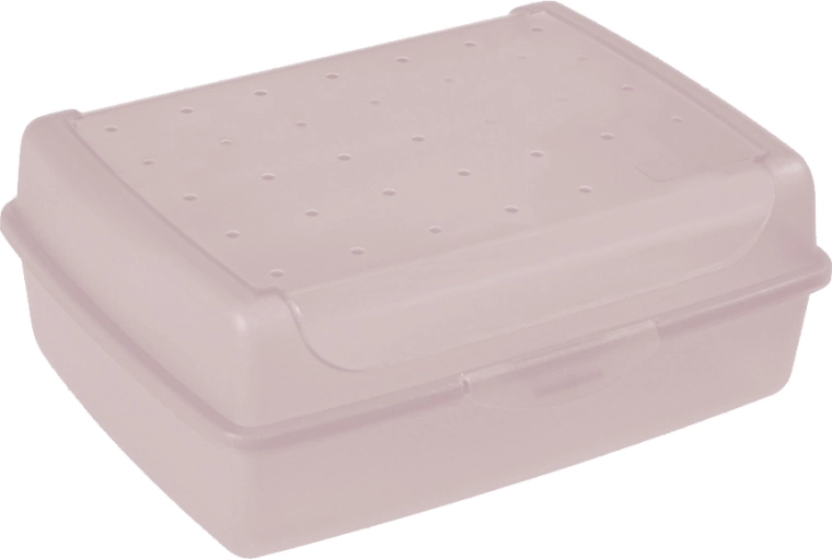 Luca Click Box Midi sealable container 1 l pink