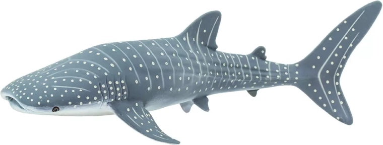 Safari Ltd. vaalhai figuur – 1 tk