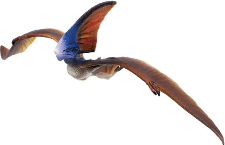 Distinctive crest and large wingspan