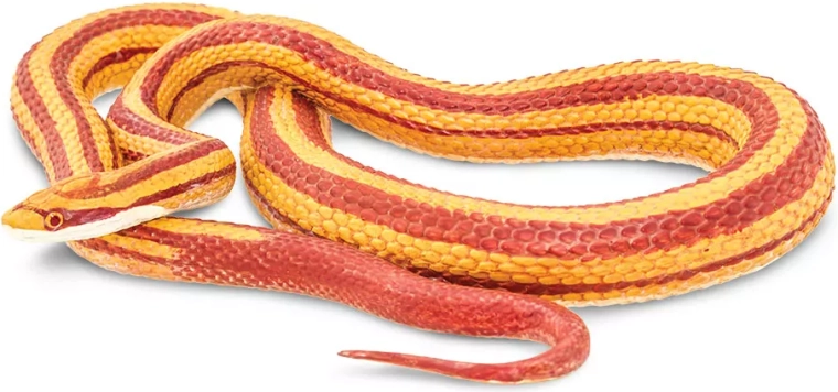 Punase roninastiku (corn snake) figuur Safari Ltd.