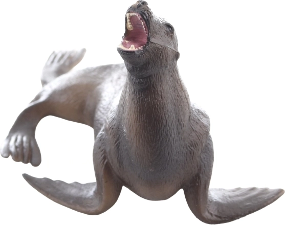 Great for learning about marine animals