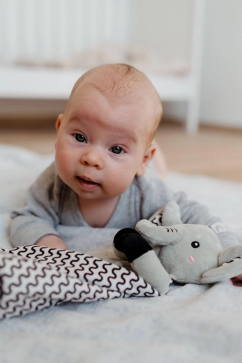 Kõrin meelte arendamiseks