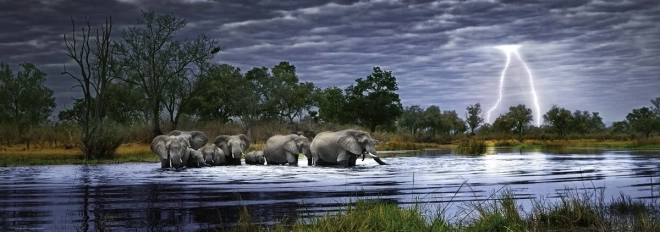 Panoraampuzzle Elevandikari Botswana 2000 tükki