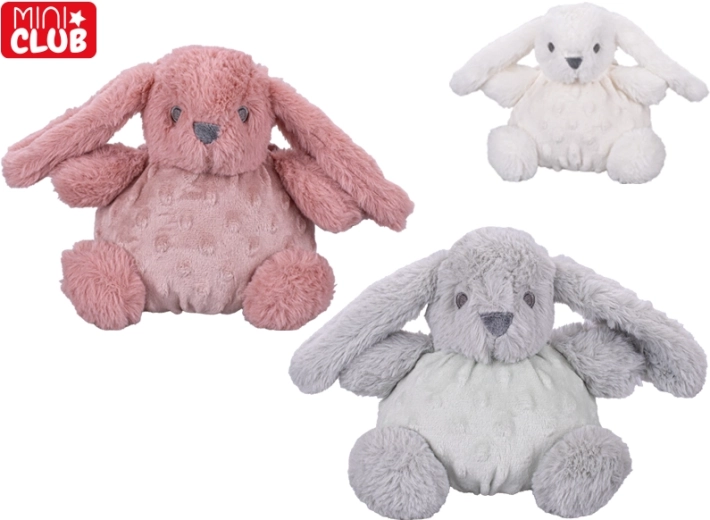 Pehme plüüsjänes kõristiga Mini Club 16 cm