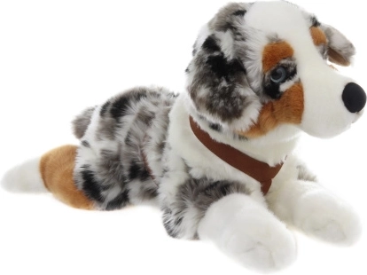 Plush Australian Shepherd 57 cm