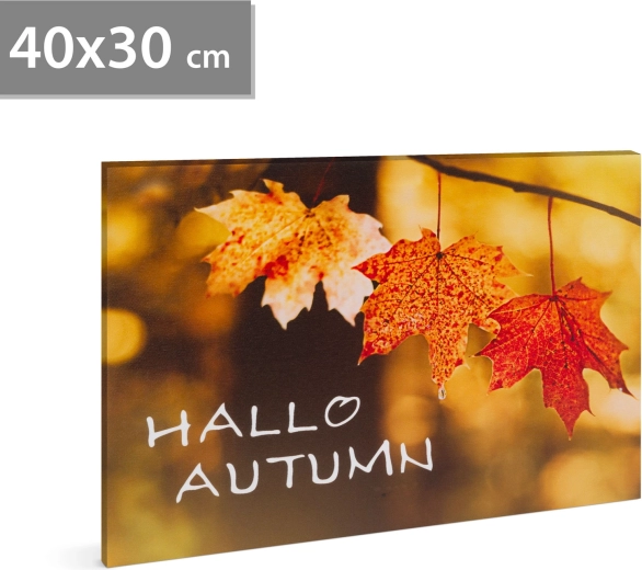 LED-pilt Hello autumn 40 × 30 cm