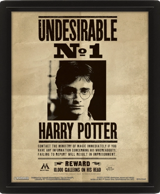 3D pilt Harry Potter - Sirius