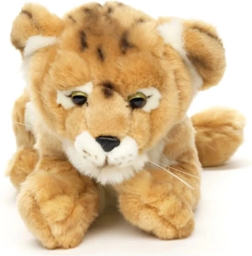 Adorable animal design