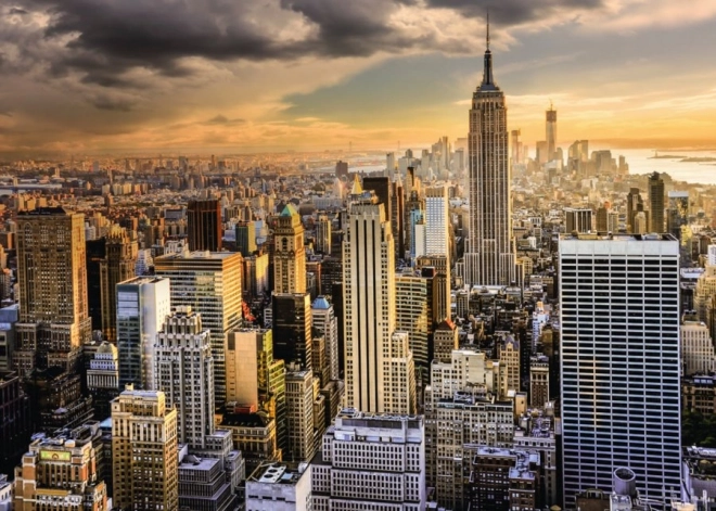 Puzzle Ravensburger Amazing New York 1000 pieces