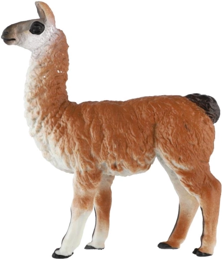 Characteristic brown-and-white coloring