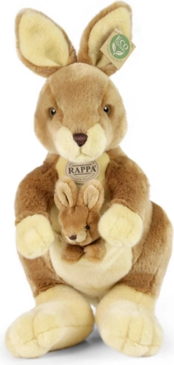 Eemaldatav poeg rohkemaks lõbuks