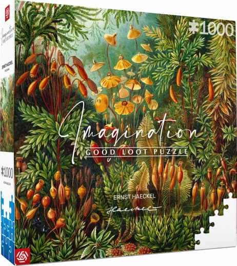 Puzzle Imagination: Ernst Haeckel – Muscinae 1000 tükki