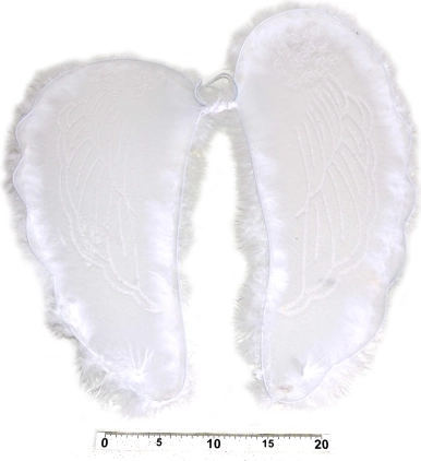 Angel Wings with Feathers 47 × 47 cm