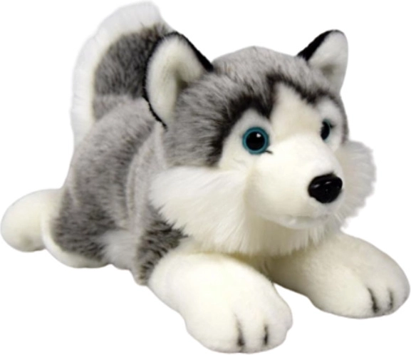 Plüüsist husky-koer Dubi 27 cm