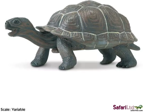 Safari Ltd. Galápagos tortoise hatchling figurine - 1 piece