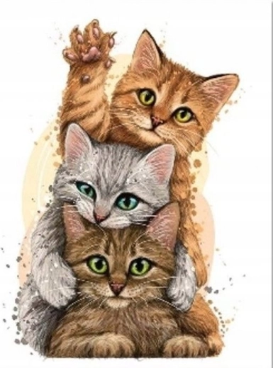 Teemantmaal „Kassipüramiid” 30 × 40 cm