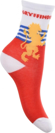Gryffindori motiiv silmapaistva kirjaga ja vapiga