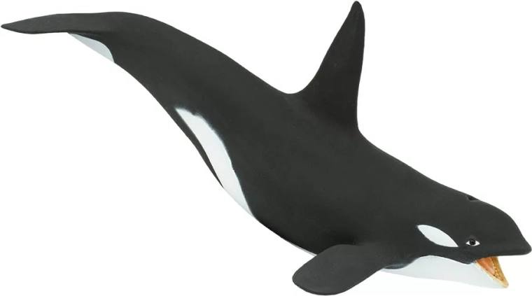 Safari Ltd. Orca Figurine - 1 piece