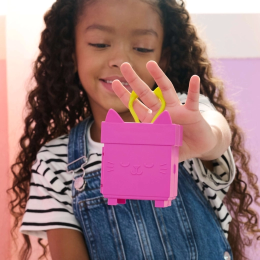 Kaasaskantav kassikujuline minikarp