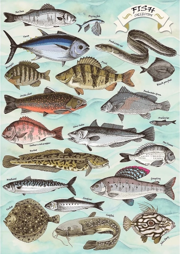 Puzzle TREFL Premium Plus Finders Keepers: Fish 500 pieces