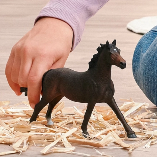 Great size for play and display