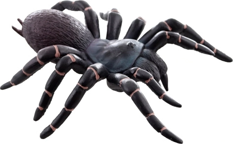Plastic Tarantula – Realistic Toy for Kids