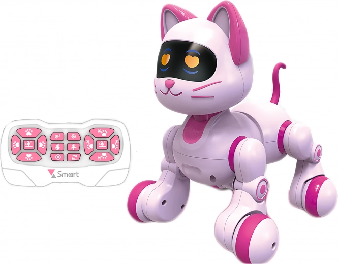 Kaugjuhtimisega robotkass 21 cm