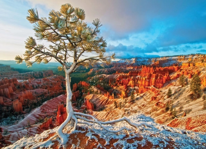 Puzzle EUROGRAPHICS talvekoidik, Bryce Canyon (1000 tükki)