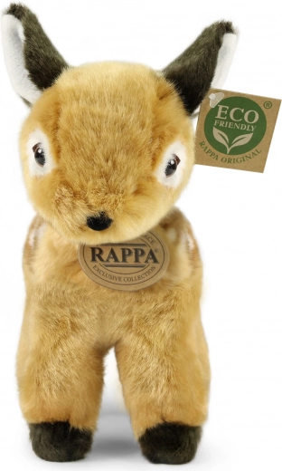 Ohutu alates sünnist