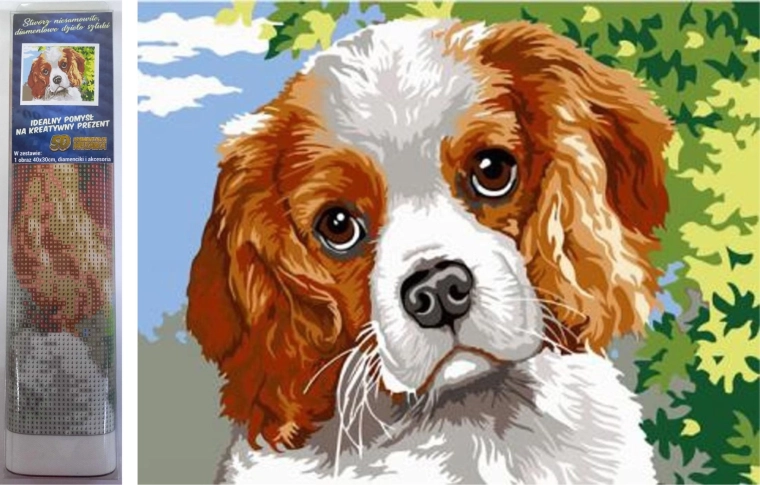 Teemantmaal – Koera silmad 30 × 40 cm
