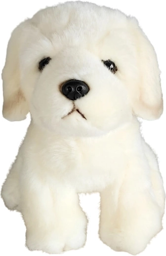 Plüüskoer golden retriiver 19 cm