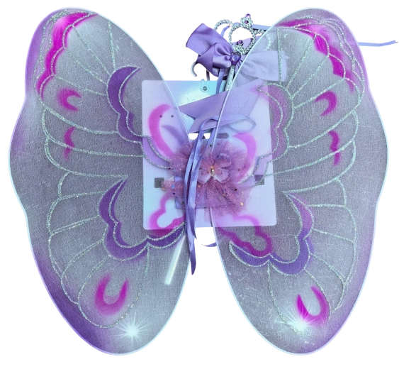 Fairy Set with Wings and Wand