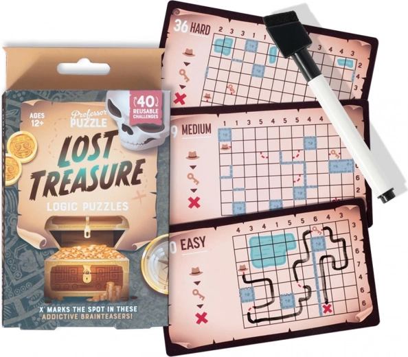 Professor Puzzle logic game Lost Treasure – travel puzzle set