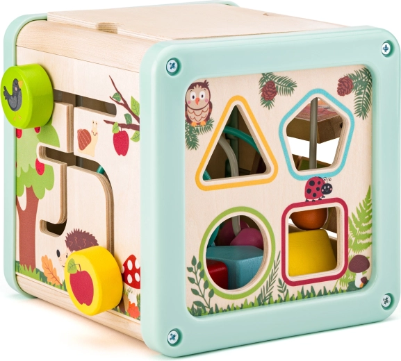 Shape Sorter for Learning Shapes