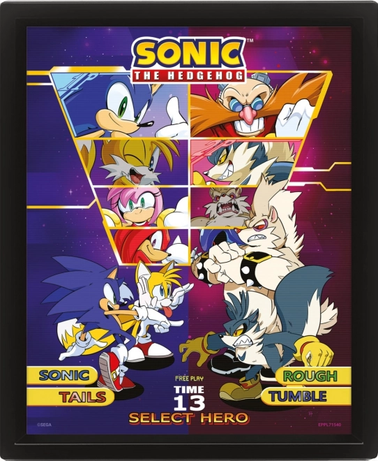 3D pilt Sonic: Vali oma võitleja