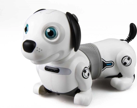 Interaktiivne robotkoer taksikoer valguste ja nutika palliga