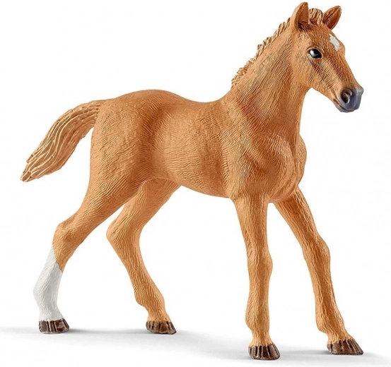 Realistic Appaloosa horses