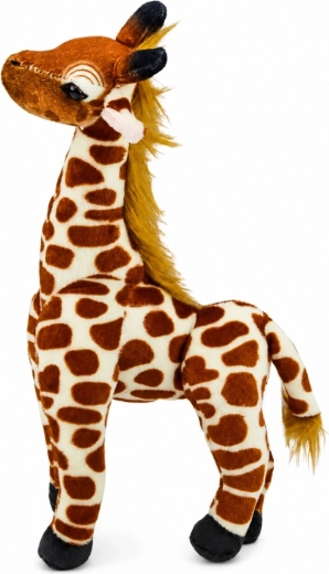 Realistic giraffe details