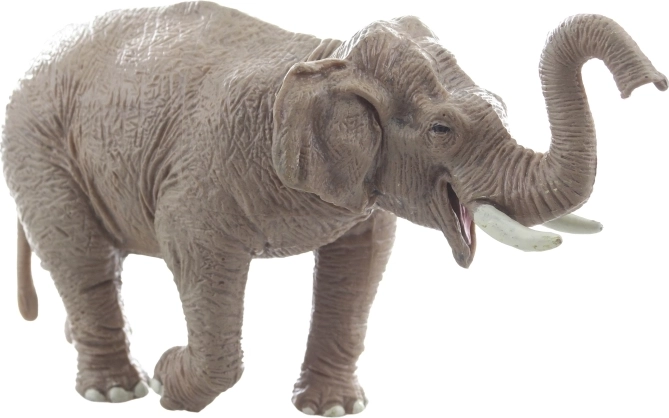 Vastupidav ja stabiilne konstruktsioon