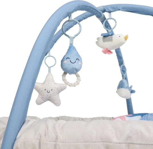 Arches with removable toys