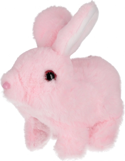 Pehme plüüs, mis kutsub kallistama