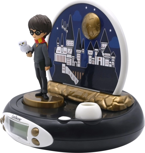 Decoration for HARRY POTTER fans