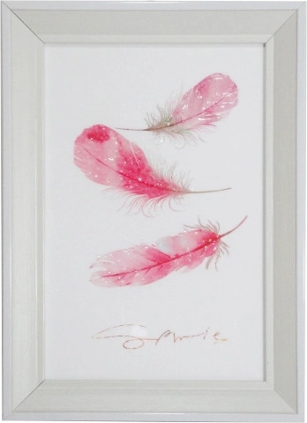 Framed Art with Colorful Feathers 20 × 30 cm