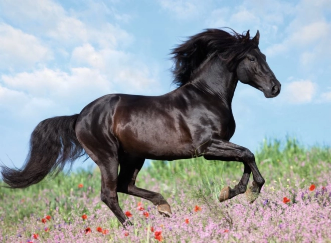 Ravensburger puzzle Beautiful Horses 200 pieces