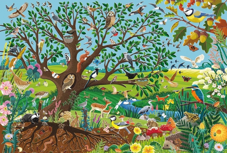 Puzzle Animals in the Garden 60 Pieces Schmidt